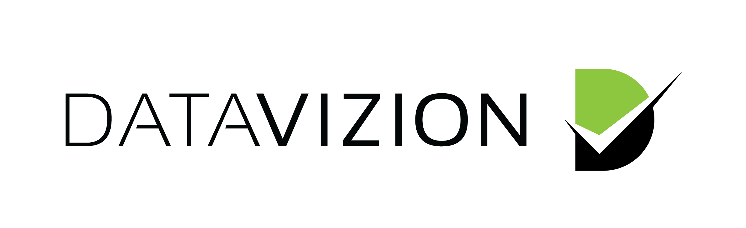 DataVizion Logo